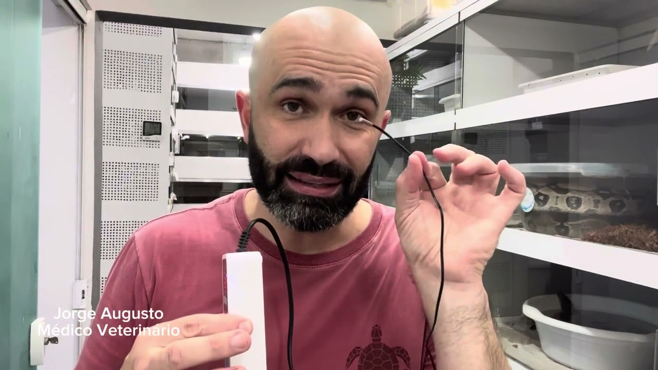 Configuração do termostato para seu RÉPTIL !