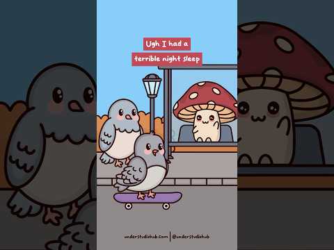 Every Single Night