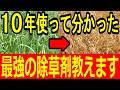 【除草剤】初心者でも安心!正しい撒き方と危険性を基本から解説!