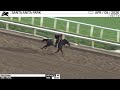 Work of the Day at Santa Anita Park: Pavlovian worked 4 Furlongs in 49.00 on April 5th, 2026