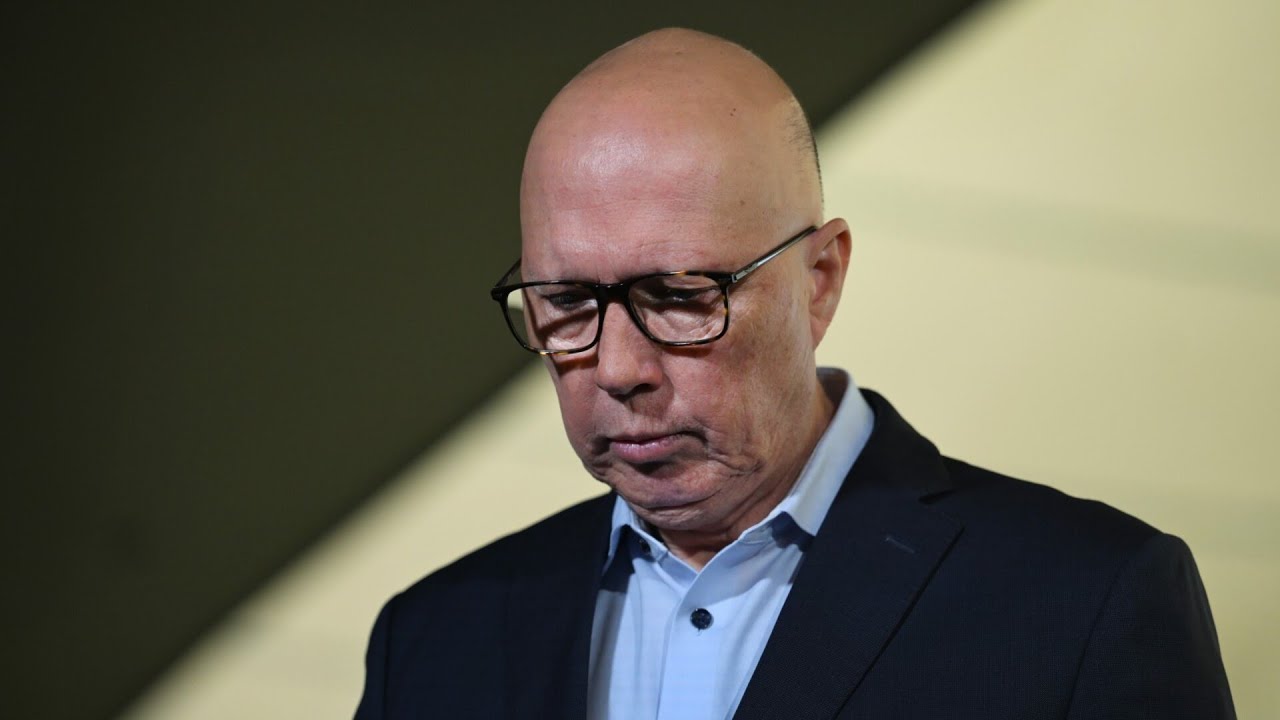 David Littleproud claims Labor made Peter Dutton ‘unelectable’