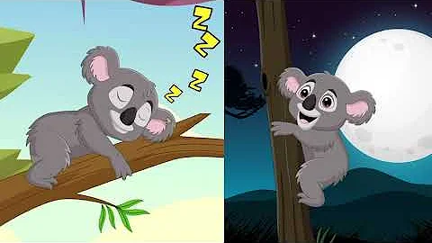 Учим животных: коала.  Развивающие мультики для детей и малышей