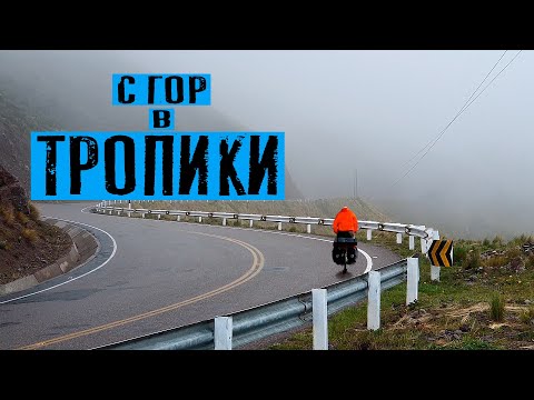 Дорога в джунгли | Путешествие по Перу | #24