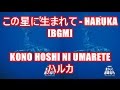 この星に生まれて - HARUKA[BGM]KONO HOSHI NI UMARETE - ハルカ NHK 生きもの地球紀行 エンディング