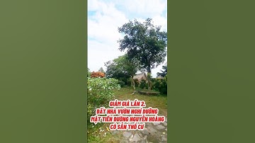 Giảm giá lần 2 cực sốc, đất nghỉ dưỡng mặt tiền đường nhựa Nguỹen Hoàng #nhà #batdongsan #tintuc