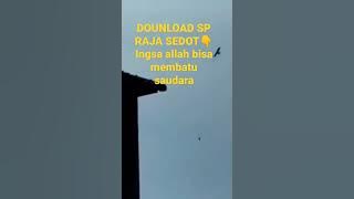 SP-RAJA SEDOT ANAKAN DAN LIYAR SAUDARAKU SMOGA CPAT SUKSES #geratis#suara#burung#walet