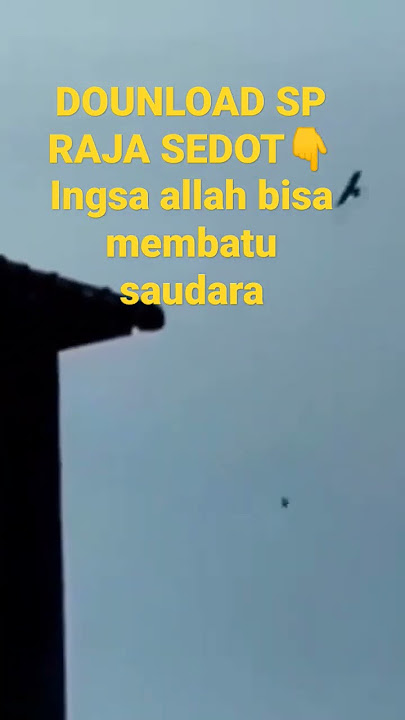 SP-RAJA SEDOT ANAKAN DAN LIYAR SAUDARAKU SMOGA CPAT SUKSES #geratis#suara#burung#walet