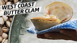 Diving for World Class Butter Clams Off the Coast of Oregon — Deep Dive