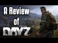 A Review of DayZ