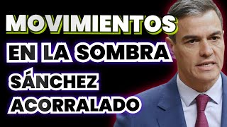 PEDRO SÁNCHEZ BAJO PRESIÓN INTERNACIONAL ? El Tribuno de Rafa Fernández Actualidad