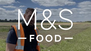 M&S Feeding wild birds in the winter at Gs Growers
