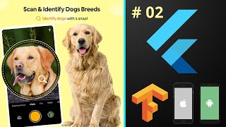 Build Dog Breed Identifier App from Scratch - Flutter Mobile iOS & Android Machine Learning Course