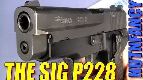 Cover Image for 2017 Sig P228 Review- Nutnfancy