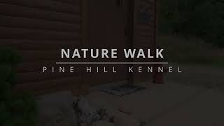 Exploring Nature with our Furry Guests:  Nature Walks at Pine Hill Kennel! by Pine Hill Gun Dog Training 433 views 1 year ago 1 minute, 58 seconds