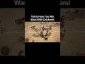 This is how you win wars with chickens! #gaming#viral#trending #funny#holdfastnationsatwar#gameplay