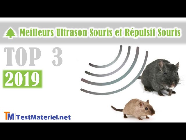 Répulsif Ultrason Anti Rats Souris Dispositif RIDDEX Plus Anti