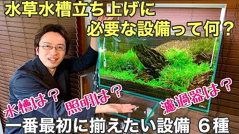 ６０cmの水槽のレイアウト ダイソー