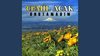 Gidiyorum Sevdiği - Cemil Acak