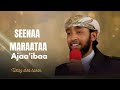 Ustaz Ibsa Seenaa Marataa Ajaa Ibaa December 2025