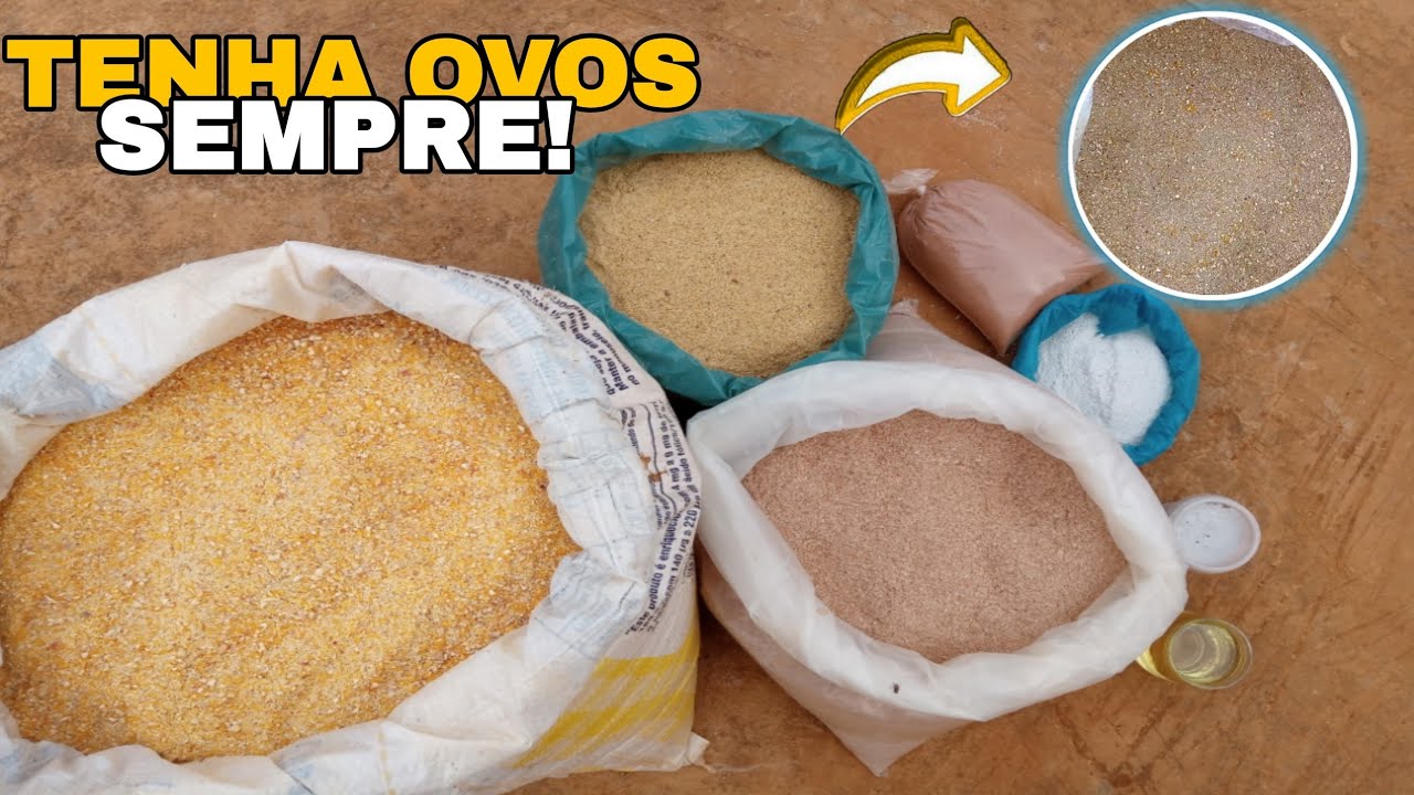 RAÇÃO DE POSTURA PARA GALINHAS