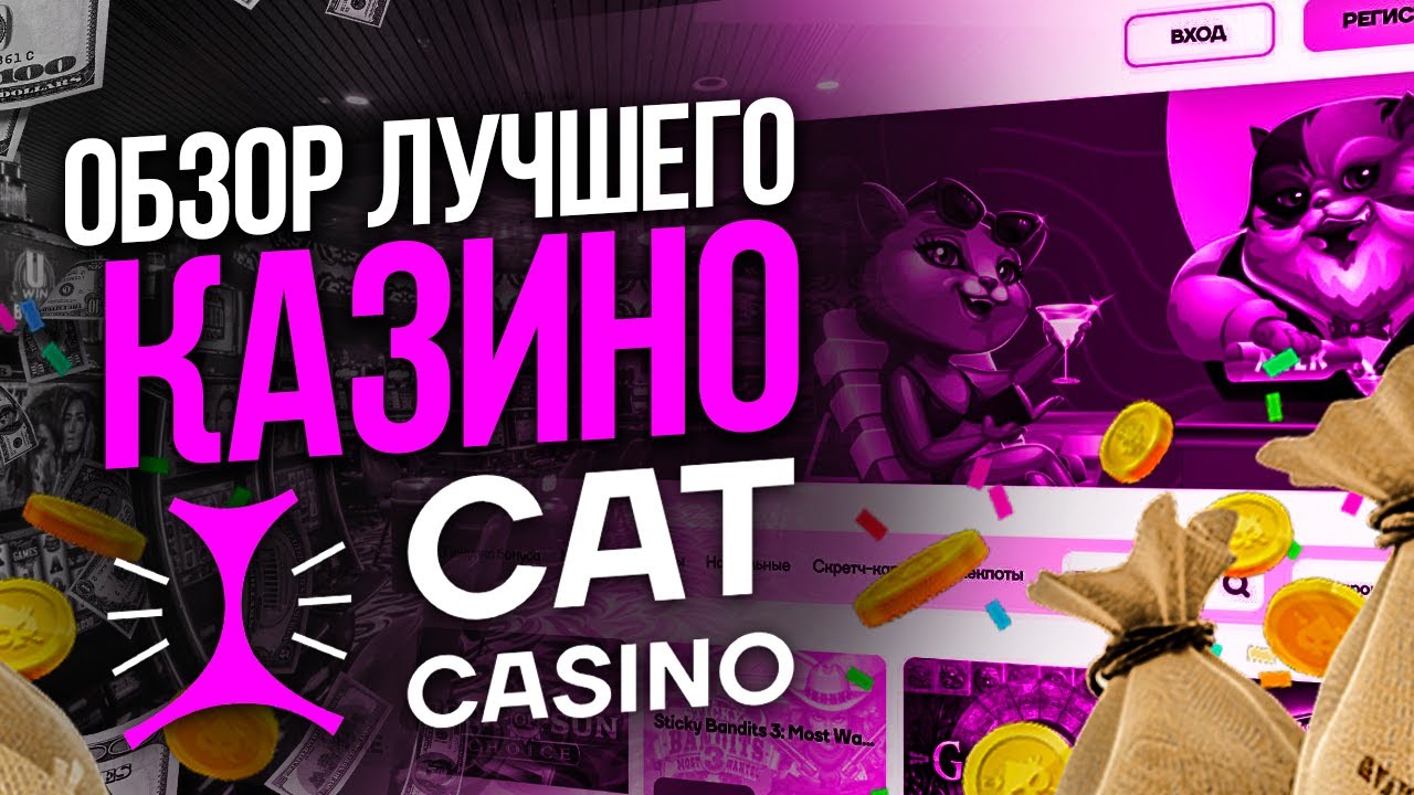 Cat casino промокоды 2023 catcasx com. Кэт казино. Креатив CATCASINO. Cat Casino отзывы. Хилкэт обзор.