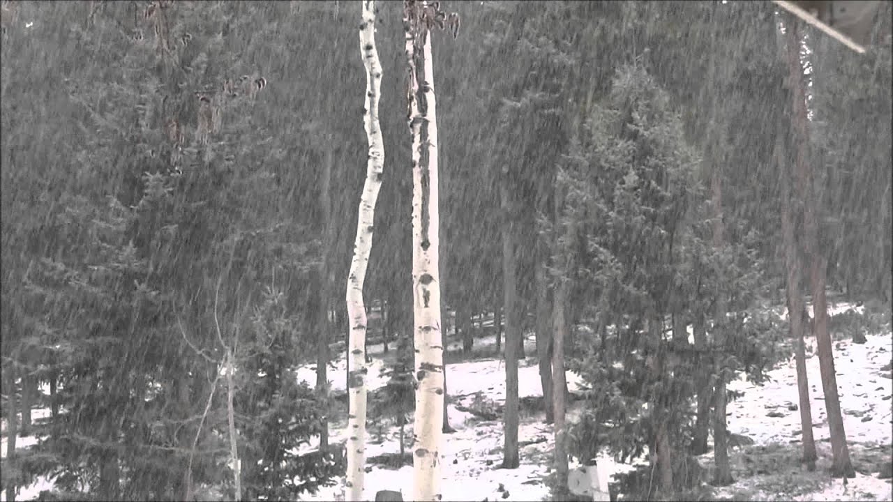 Thunder Snow well, technically, it is tiny hail YouTube