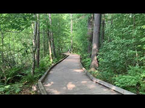 Livingston Park #1 8 18 19