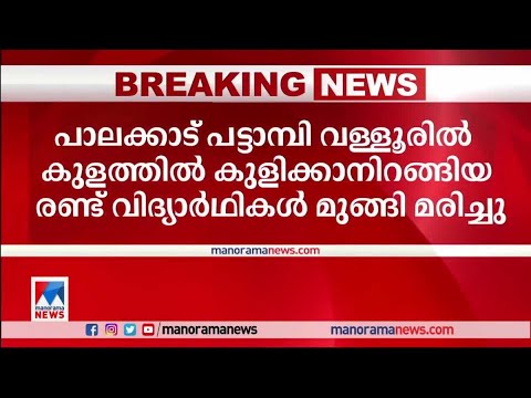 കുളത്തിൽ കുളിക്കാനിറങ്ങിയ രണ്ട് വിദ്യാർഥികൾ മുങ്ങി മരിച്ചു |Drowning