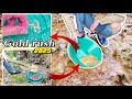 Gold Rush 2025: Prospecting Gold in a Small Creek – Amazing Discoveries!