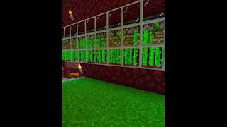 Şeker Kamışı Apartmanı Yaptık Minecraft