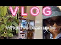 Vlog what ive been up to driving lessons taking walks plugsvlogger easterncape