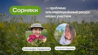 Сорняки – проблема или недооценённый ресурс наших участков