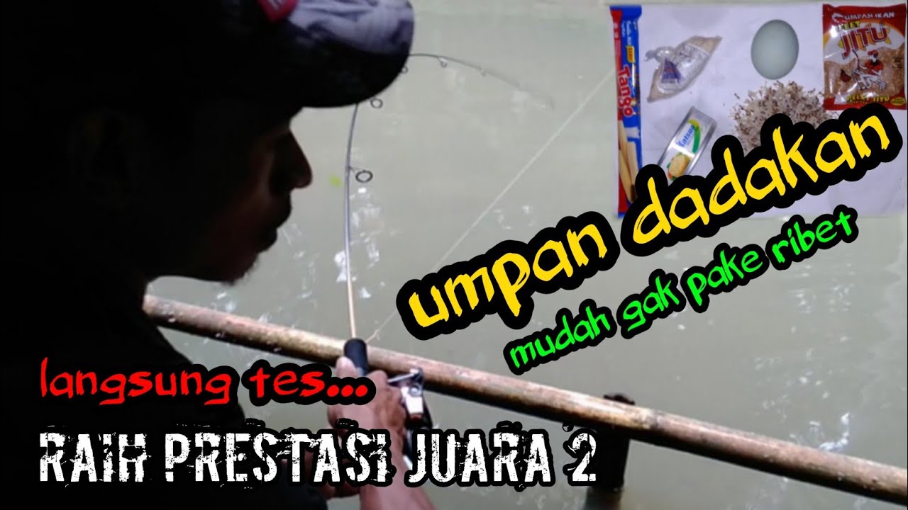 LANGSUNG TES UMPAN JITU IKAN MAS UNTUK LOMBA DAN MANCING DI KOLAM HARIAN