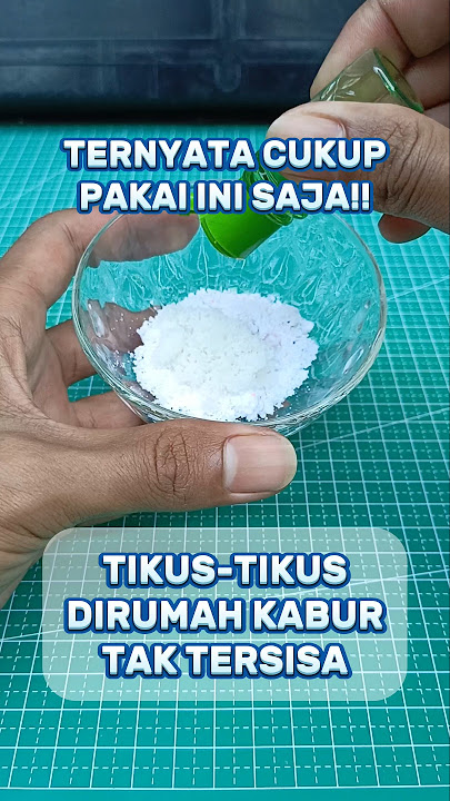 Tips mudah mengusir tikus dirumah #creatorkampung #tikus #tutorial #tipspraktis #tipssederhana #unik