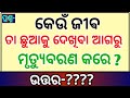 Odia Dhaga Dhamali | Clever Question and Answer |  Tricky Question | Odia Dhaga Katha | Odisha