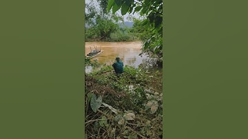 đi câu cá toàn bị muỗi đốt thôi