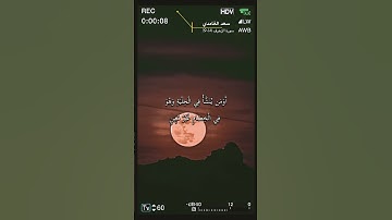 سورة الزخرف الآية 14-19