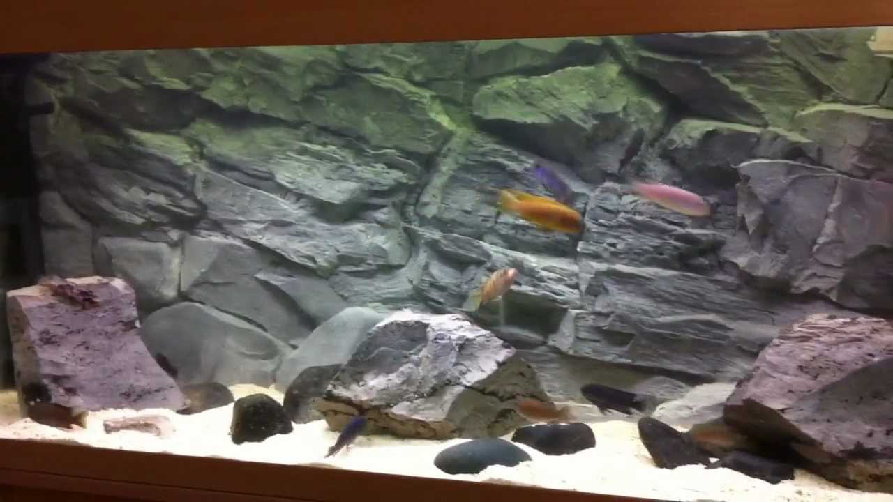3d Aquarium Rock Background (Fiberglass)