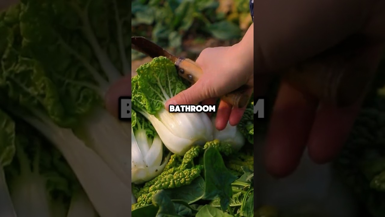 What’s the most depraved thing you’ve seen someone do?