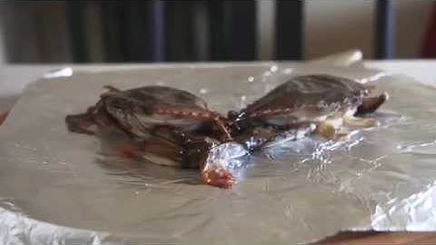 How to Clean and Cook Soft Shell Crabs (Virginia USA)