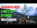 Encounter Quest - A Dog’s Life by Choice Walkthrough | Where Winds Meet