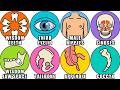 Every USELESS Part of the Human Body Explained in 21 Minutes