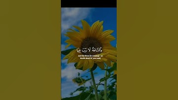 سورة الجاثية | القارئ احمد خضر
