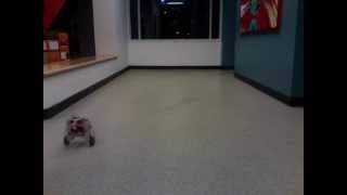 Senior Project: SPDR - Inverted Pendulum Robot