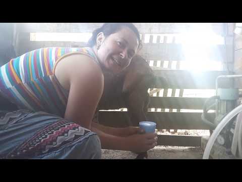 Video: Jak Přepravovat Kozu, Zelí A Vlka Ve Stejné Lodi