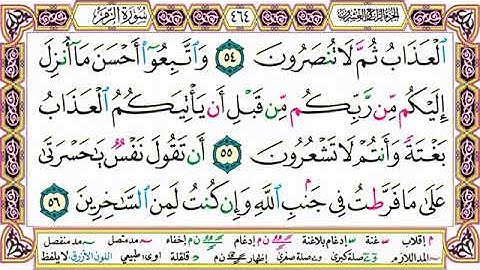 القرآن الكريم مقسم إلى أجزاء | الجزء 24 مكتوب | مقسم صفحات | الشيخ حاتم فريد | مصحف التجويد الملون