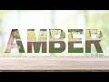 AMBER (Prologue)