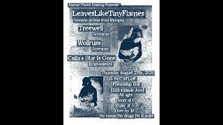 LEAVESLIKETINYFLAMES x TREEWELL x WOLLRUSS x CSILLAS STAR IS GONE live in Victoria @Friendship Hall
Shot by Dave and Elle. Shout-out Josh. Watch out for sushi. LEAVESLIKETINYFLAMES x TREEWELL x WOLLRUSS x CSILLAS STAR IS GONE live in Victoria @Friendship Hall