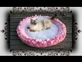DIY 😻 XL Knoten Kissen Bett für Katzen & Hunde | Knot cushion bed for Cats & Dogs