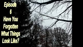 The BlindSighted Perspective Podcast Ep 06 - Have you forgotten what things look like?